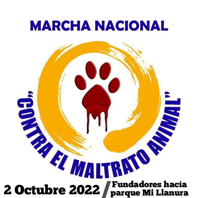 DanielaChack's tweet photo. Ahí estaré 🙋🏻‍♀️🙋🏻‍♀️🙋🏻‍♀️ NO MÁS MALTRATO AMIMAL 🐕🦮🐶🐈🐩❤️😻🐱 https://t.co/w8wxgPYRl1