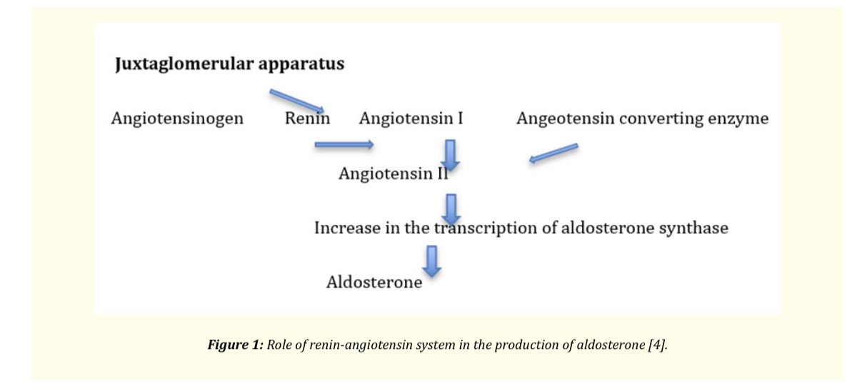 Swapnil Hiremath @hswapnil.medsky.social tweet media