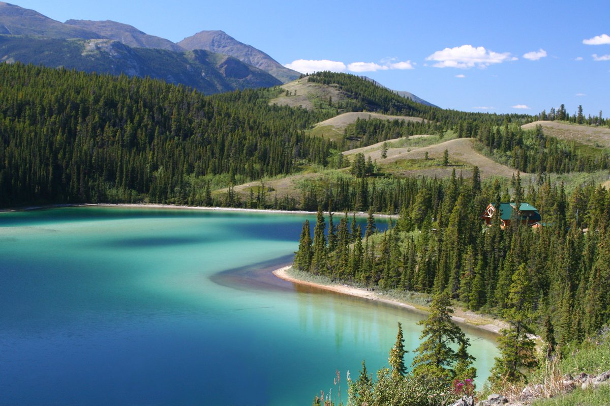 Canada's tweet photo. #DYK that Canada has two lakes named “Emerald Lake” after their unique bright colours? One is situated in southern Yukon, and the other in @YohoNP in British Columbia.
 
Can you tell which is which? 💚👇 https://t.co/55ayR6vppV