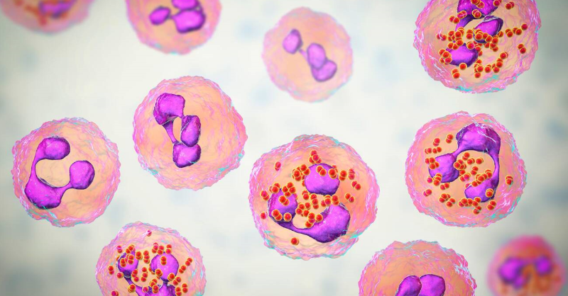 NatureCustom's tweet photo. Global immunization against all five major bacterial serogroups is urgently needed. #AdFeature with @GSK