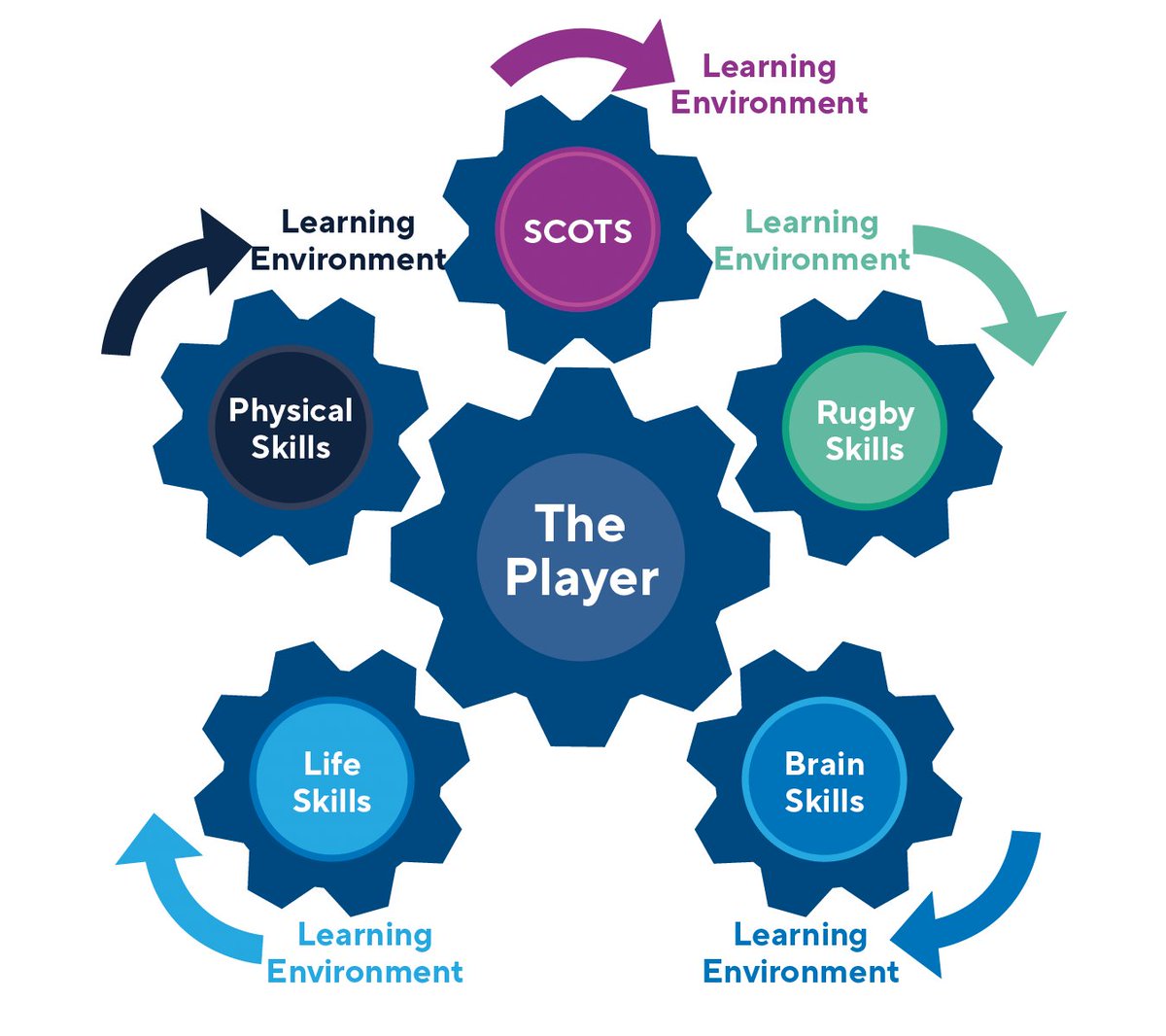 📢Blueprint 'Change our Game' regional roadshows announced in November 👇

To book onto one of the free roadshows, visit SCRUMS, and click 'browse courses' bit.ly/3BU4j9J

For coaches and referees of all age groups 

#BlueprintRugby #ChangeOurGame