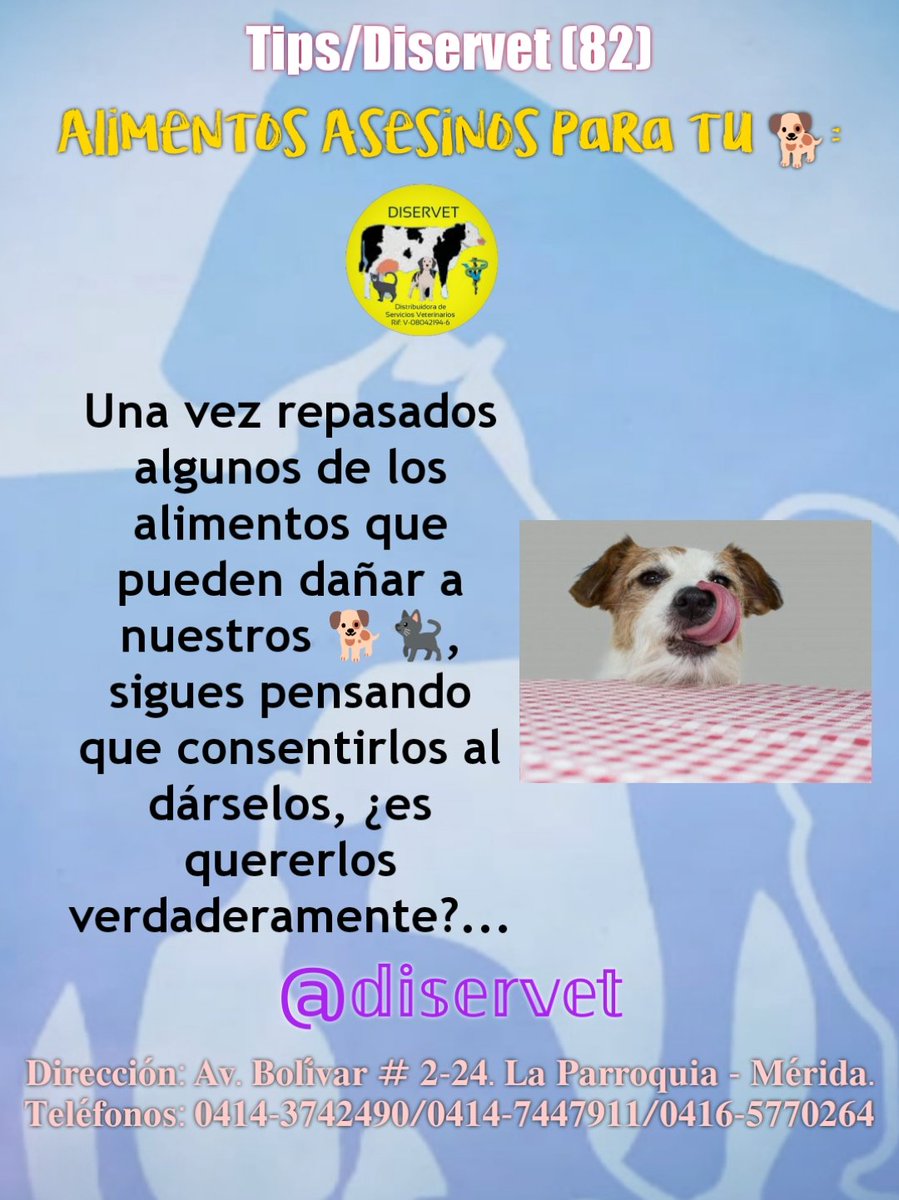 diservet01's tweet photo. 3️⃣Una vez revisados algunos de los alimentos que pueden dañar a nuestros 🐕🐈⬛, sigues pensando que consentirlos al dárselos, ¿es quererlos verdaderamente?...
@diservet #TipsDiservet #alimentostoxicos #alimentospeligrosos
#consultaveterinaria @mvreinaldorivas https://t.co/8MzW2f2FHh