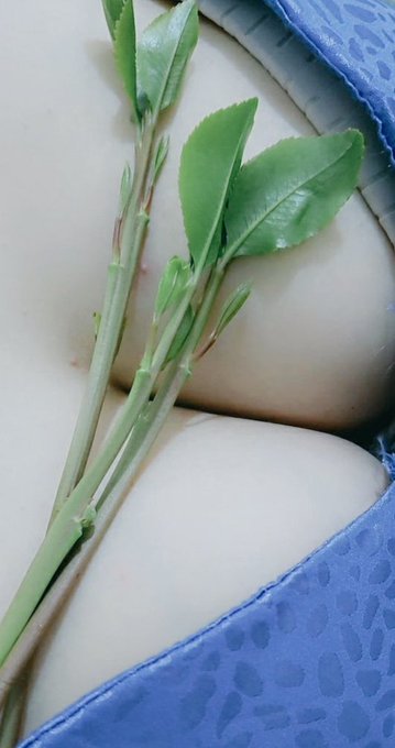 قات من الدليل 
في جبل ربي 
#اعاده_تغريده