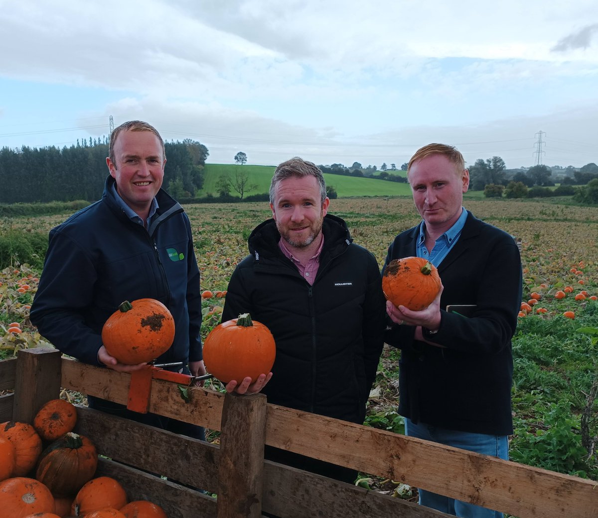 We were delighted to have Michael & Sean from @dunnesstores with us today. They are pictured with William Gilpin in one of our pumpkin fields. We walked our #pumpkin crop & toured our pumpkin production facilities ahead of this year's pumpkin supply starting. 😀 #LocalProduce