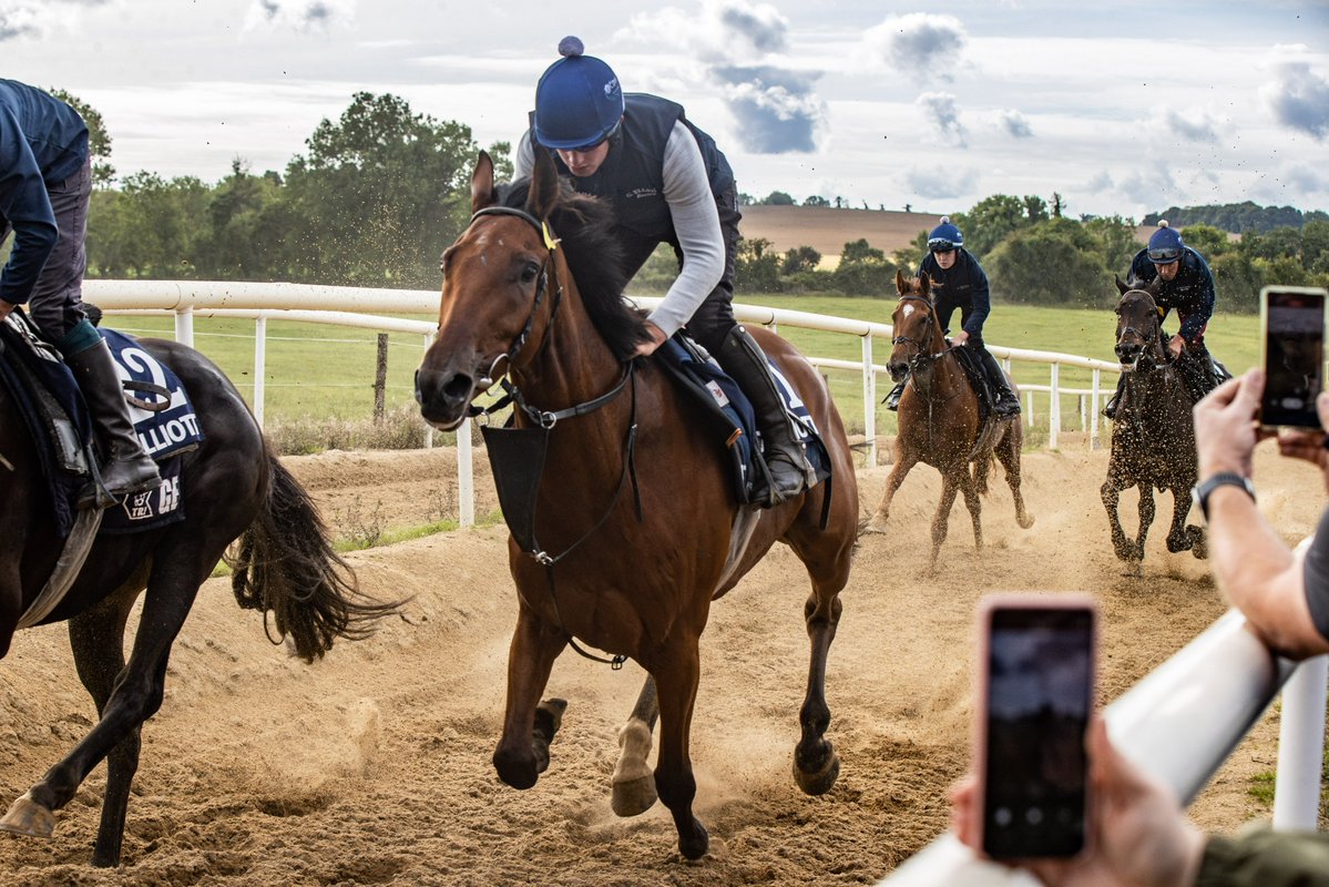 HRI Ownership (@hriowners) on Twitter photo Go behind the scenes at a racing yard this weekend & find out what it takes to train a racehorse at a Trainer Open Morning
🏇<a href="/JPFlavin1/">J P Flavin</a> Saturday 1st October 
🏇<a href="/FowlerStud/">rahinstonfarm&stud</a> Sunday 2nd October 
All are free to attend you just have to register over here bit.ly/3dKYXE8 Go behind the scenes at a racing yard this weekend & find out what it takes to train a racehorse at a Trainer Open Morning
🏇<a href="/JPFlavin1/">J P Flavin</a> Saturday 1st October 
🏇<a href="/FowlerStud/">rahinstonfarm&stud</a> Sunday 2nd October 
All are free to attend you just have to register over here bit.ly/3dKYXE8