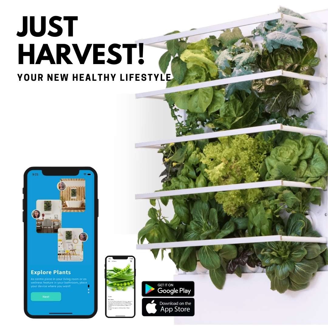 HydroArtPod's tweet photo. The HydroArtPod smart indoor garden comes with everything the user needs to grow: optimised growlights, seedpods &amp; plant food. Our seedpods and plant food have been rigorously tested and we guarantee that they work🌱 

https://t.co/zJOyMxj7Is 

#HydroArtPod #hydroponicgarden https://t.co/JaOPczc56x