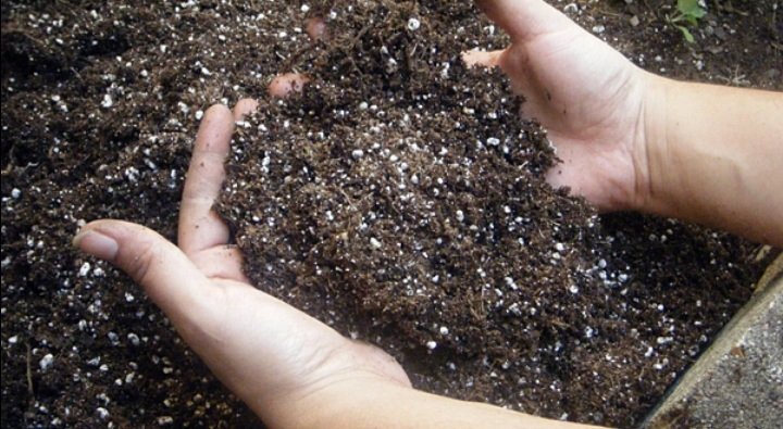 Good luck to those participating in the FFA Soils Invitational contest today!