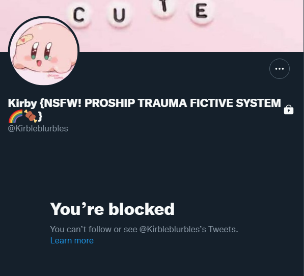 Hey guys! Eden has a new account: @/kirbleblurbles, apparently he's a proshipper now... And yes, I know that this is Eden although he is lying about his age in this bio, because he has blocked me and everyone that follows me.