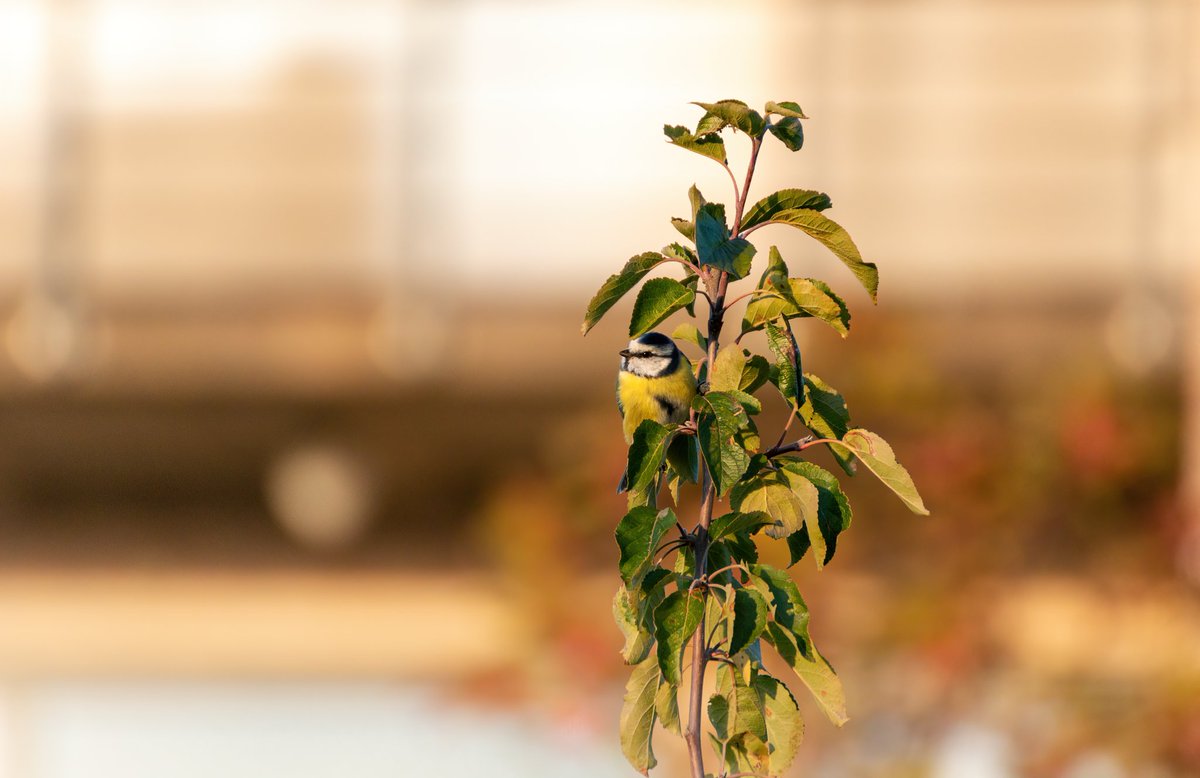 UnaxePictures tweet media