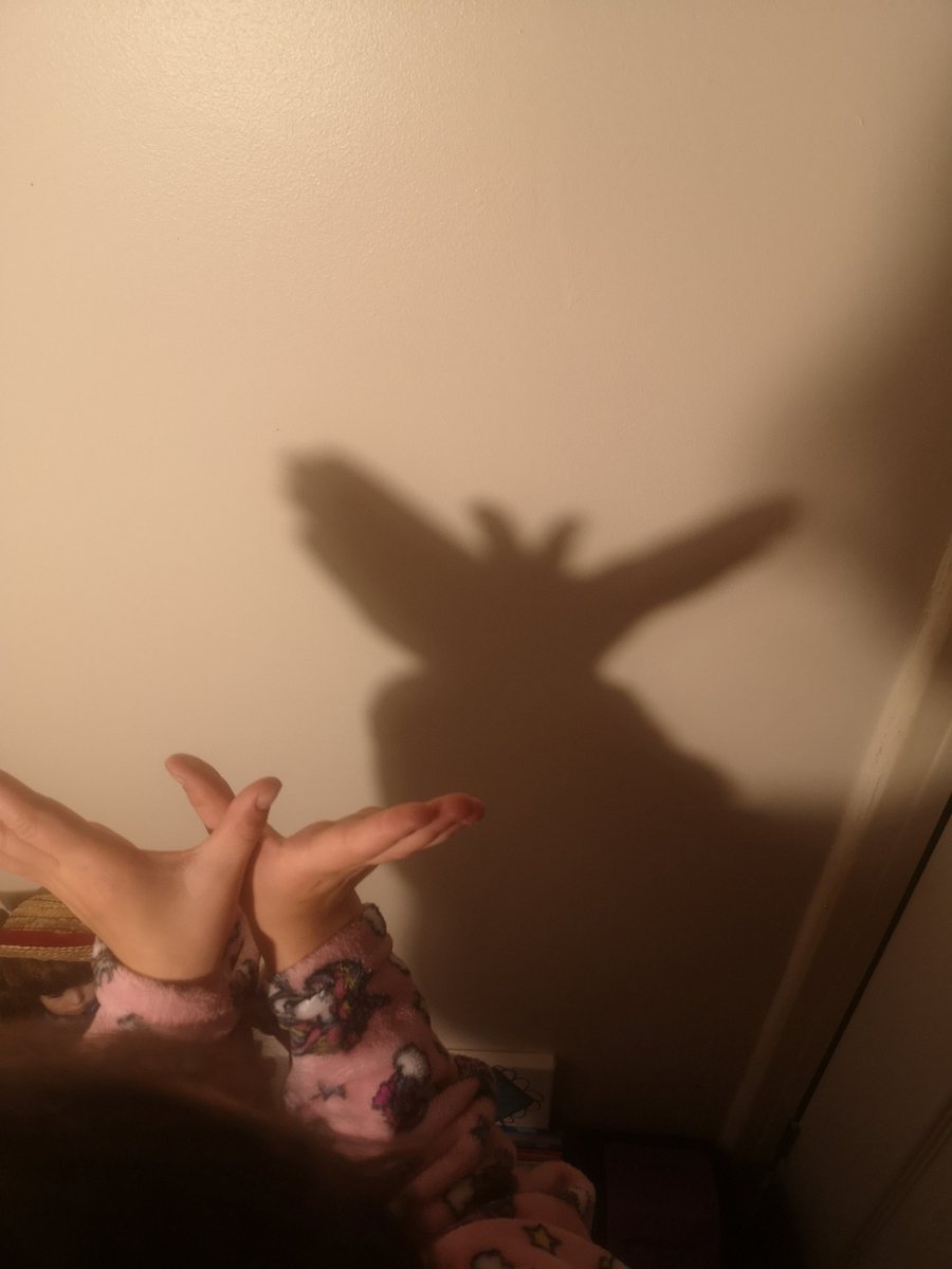 becemwhiteley's tweet photo. @yr3melthamce M's shadow puppets https://t.co/Hg6SllwkdP