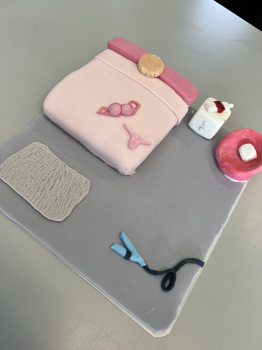 GirvanAcadHE's tweet photo. Our National 5 Practical Cake Craft pupils have been learning lots of new skills such modelling, rolling fondant and texturing. Great start seniors! https://t.co/Gnl7rvmx1n