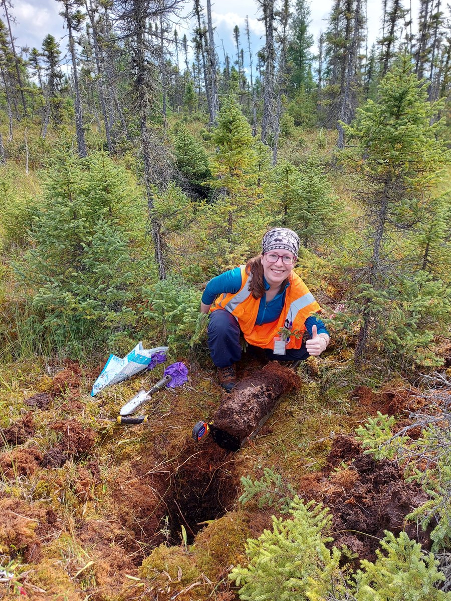 EJBerryman's tweet photo. I'm going to investigate the impact of mine dusts on peatlands by first looking for records of mine dusts captured in peat samples taken from near gold mines in NW Quebec. Stay tuned! #Mining #peat #Science #WomenInSTEM #womeninscience  @NRCan https://t.co/WWjZbg2y6R