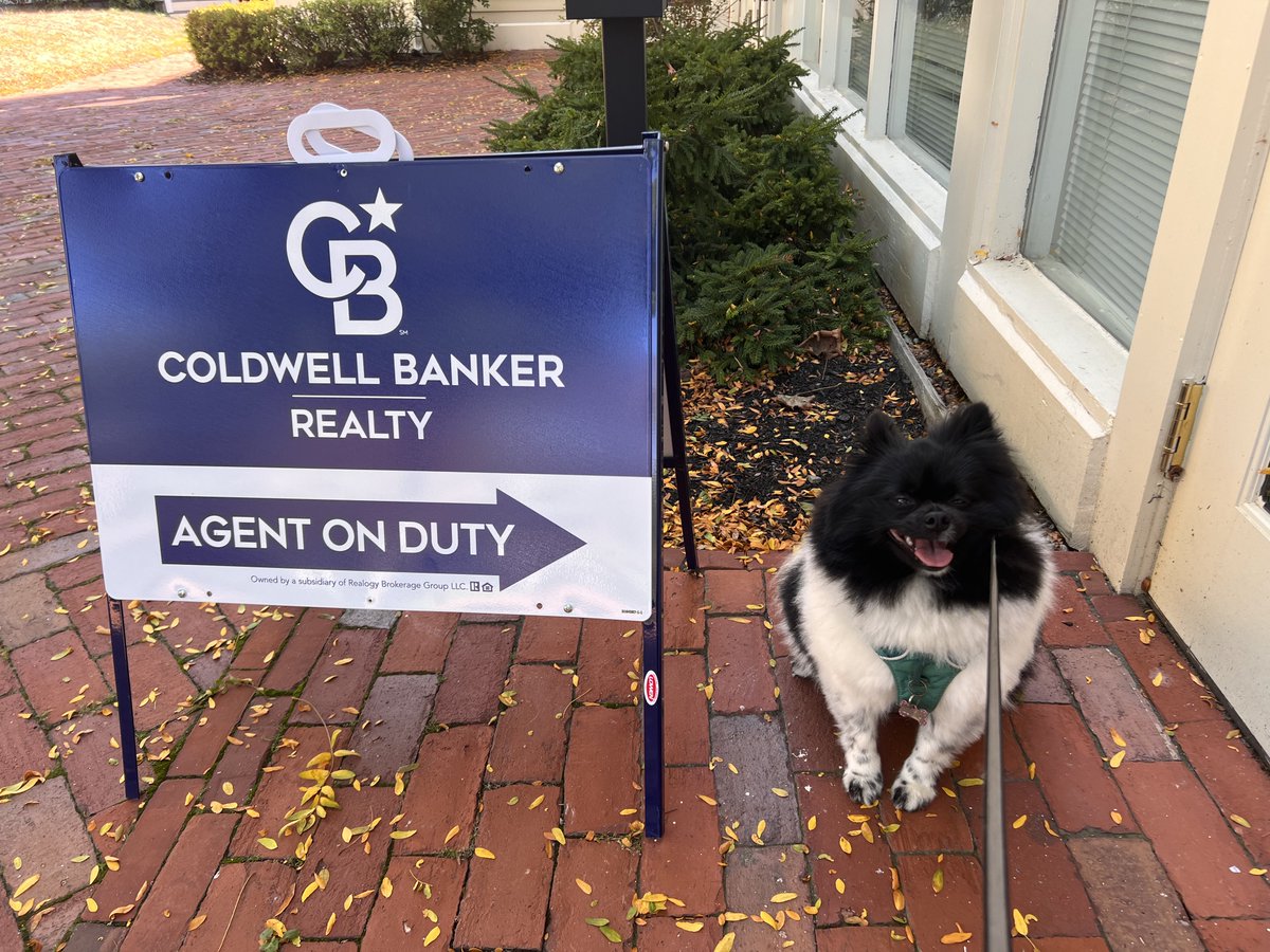 debralaporte's tweet photo. Animal-loving Buyers and Sellers are always welcomed by Luna.

#toprealestateagents #pomeranian #publicrelationsforarchitects #publicrelationsfordesigners #coldwellbanker #cbrealty #interiordesign #architecture #newenglandhomes  #realestate #northshorerealestateagent https://t.co/AsJPkg4M5M