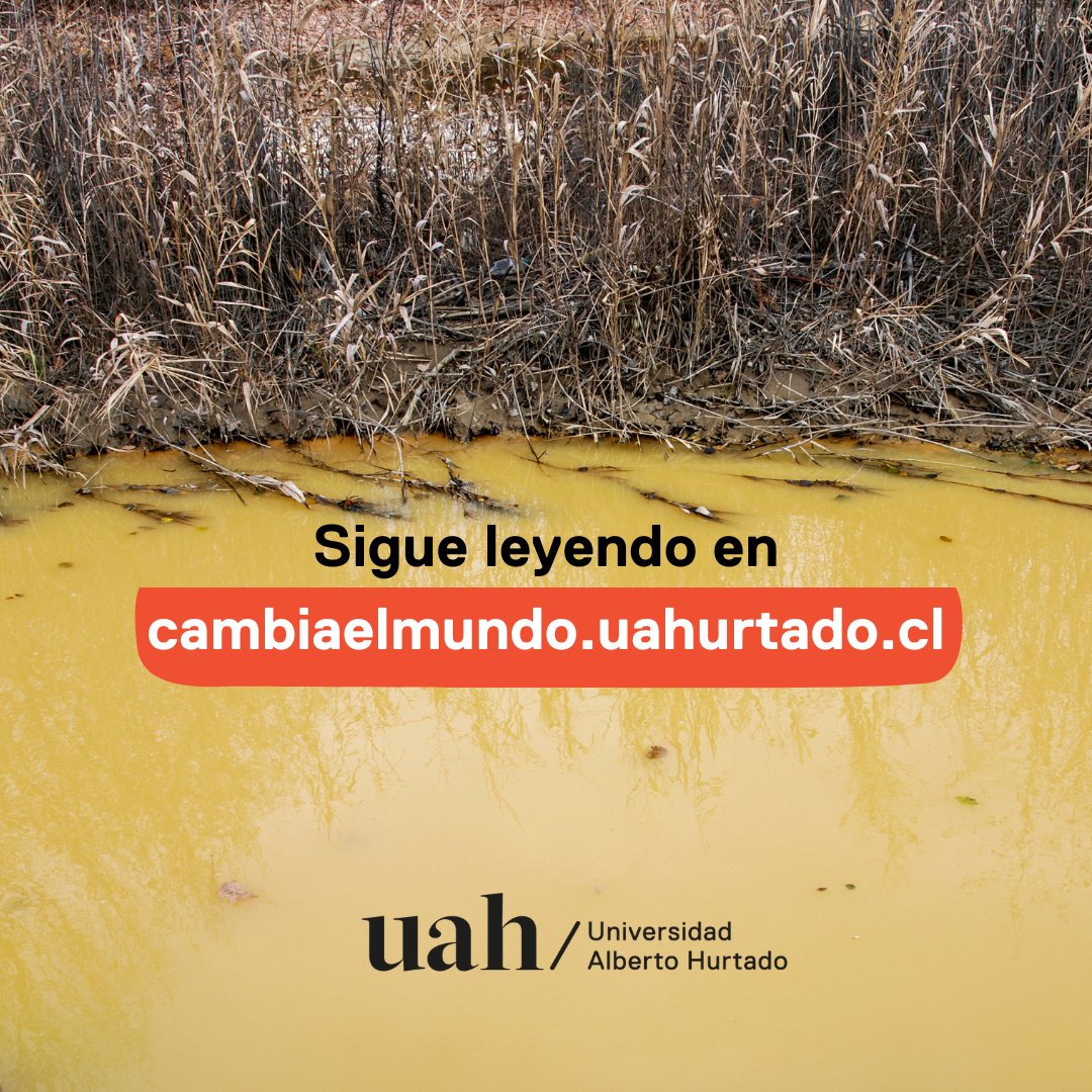 uahurtado's tweet photo. ¿A qué huele un sitio contaminado por una industria estatal? ¿Qué recuerdos quedan de la desgraciada vida de sus habitantes? Es lo que se pregunta y responde @edcontardo en su libro “Náusea: crónica de una zona de sacrificio”, de ediciones La Pollera. https://t.co/DbFM7SgB4B