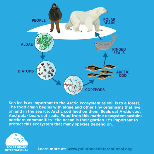 Ron Togunov tweet media