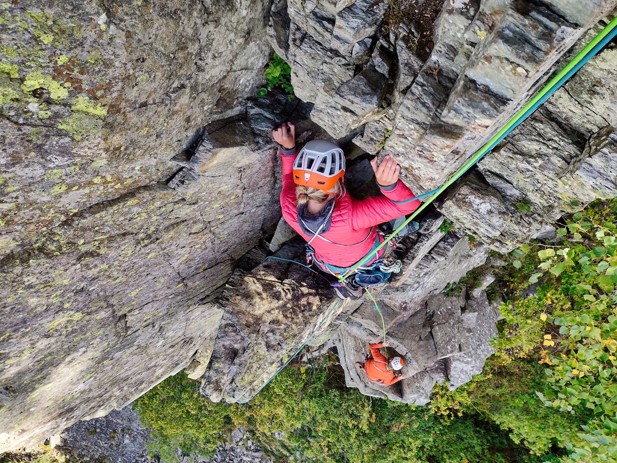 Al Powell tweet media