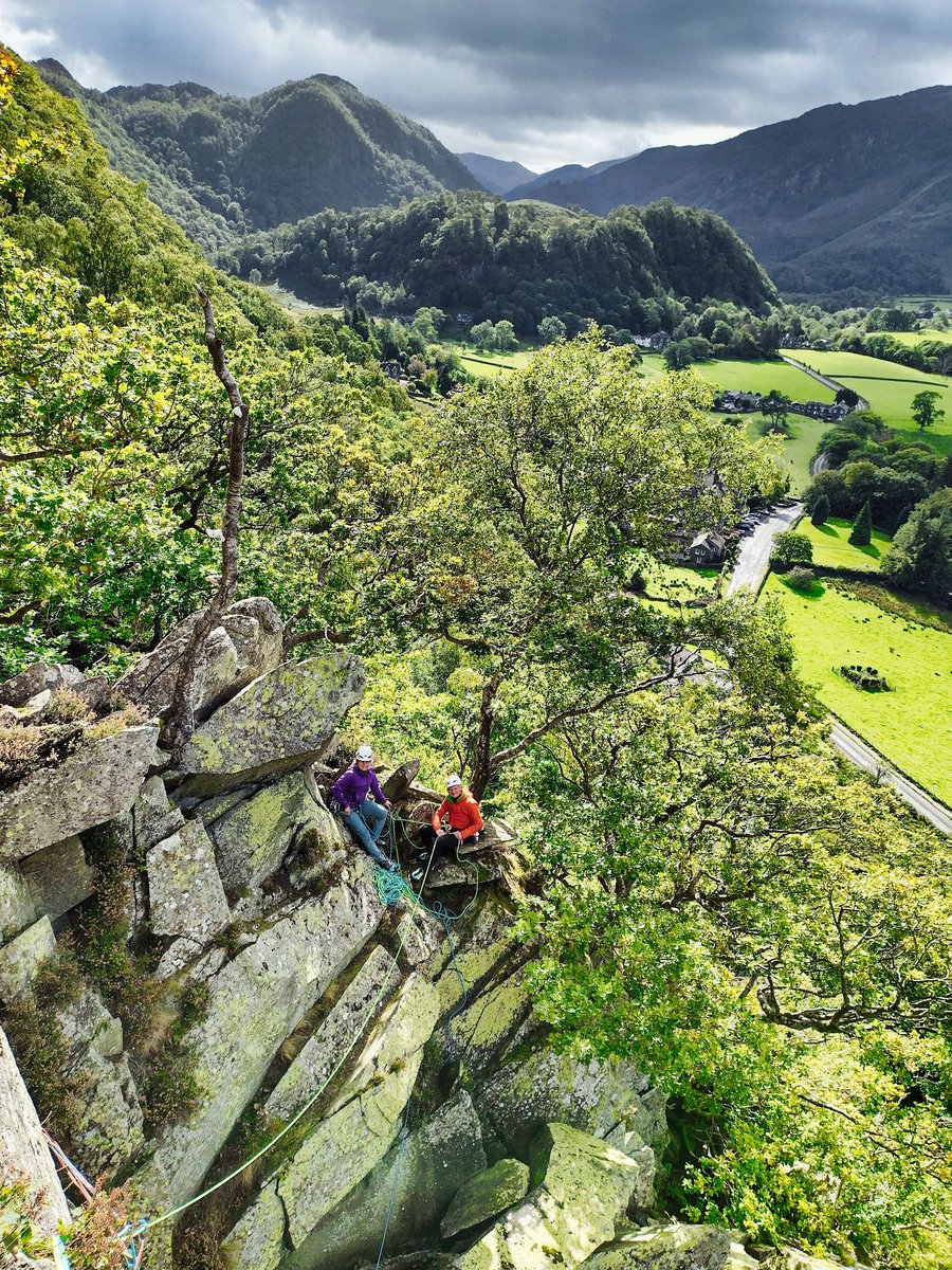 Al Powell tweet media