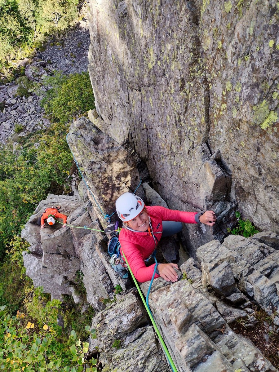 Al Powell tweet media