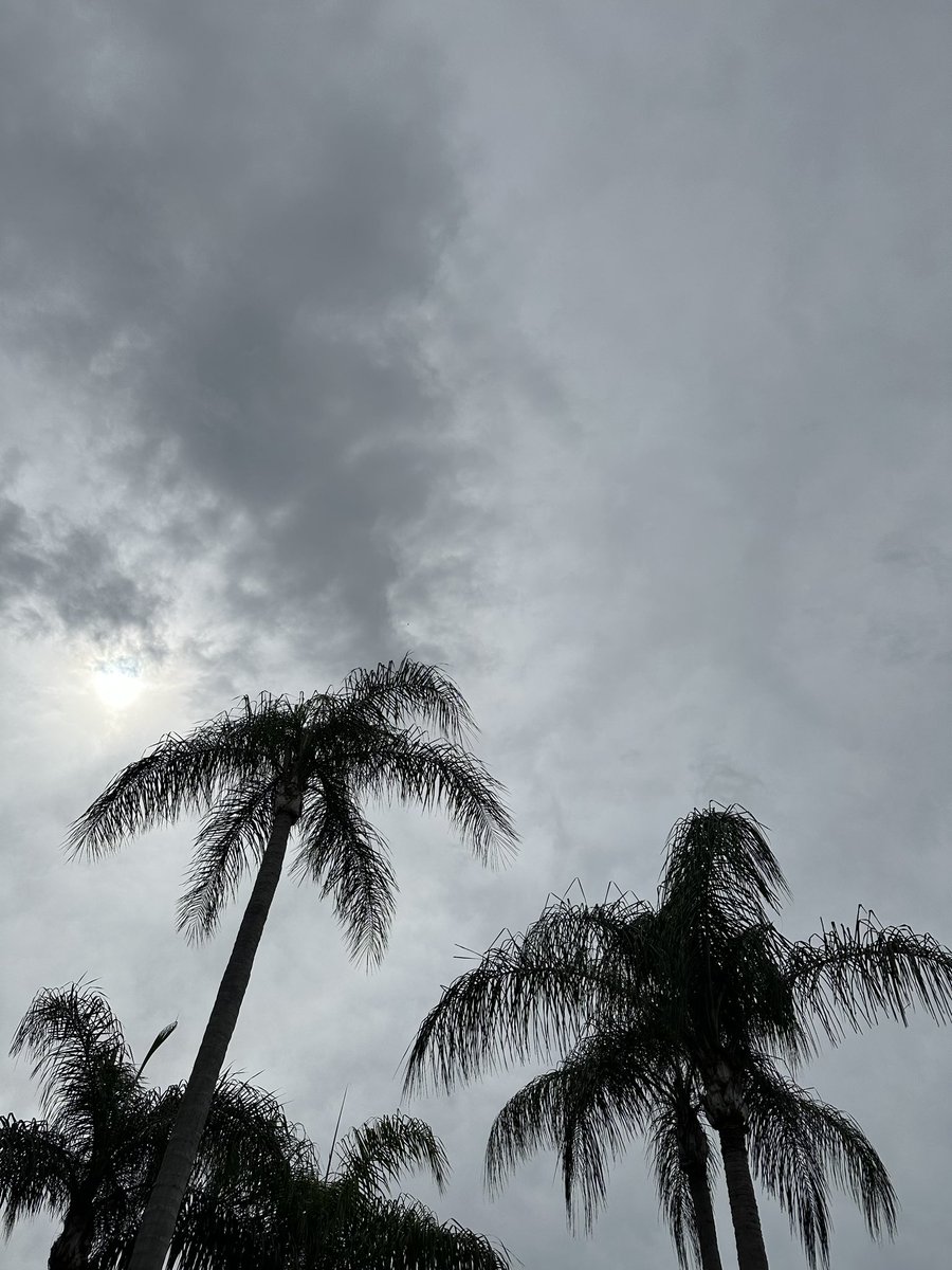 Calm before the storm…

Headed to Sarasota for coverage of #HurricaneIan

If you’re in the Manatee and Sarasota area, feel free to share updates with me if you safely can <a href="/10TampaBay/">10 Tampa Bay</a> 

We’ll get through this 💪