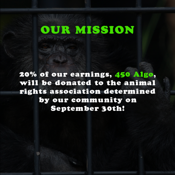 🔥🔥Bounty System for Public Shuffle #2🚀🚀

#algofam #freeape #AnimalRights #PAPE