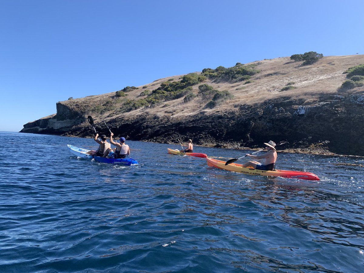 jpegprty's tweet photo. Hikes, camp fire jams,beach yoga, kayaking, s’mores, friends, food, star gazing, drinks, games, Halloween costume contest, and so much more

The @jpegprty “Camp Catalina” adventure is going to be the IRL event of the year⛺️🌊🔥

🪧:Camp Catalina 
🗺️:Catalina Island
🗓️:10/28-10/30 https://t.co/FsO6v8dSZE