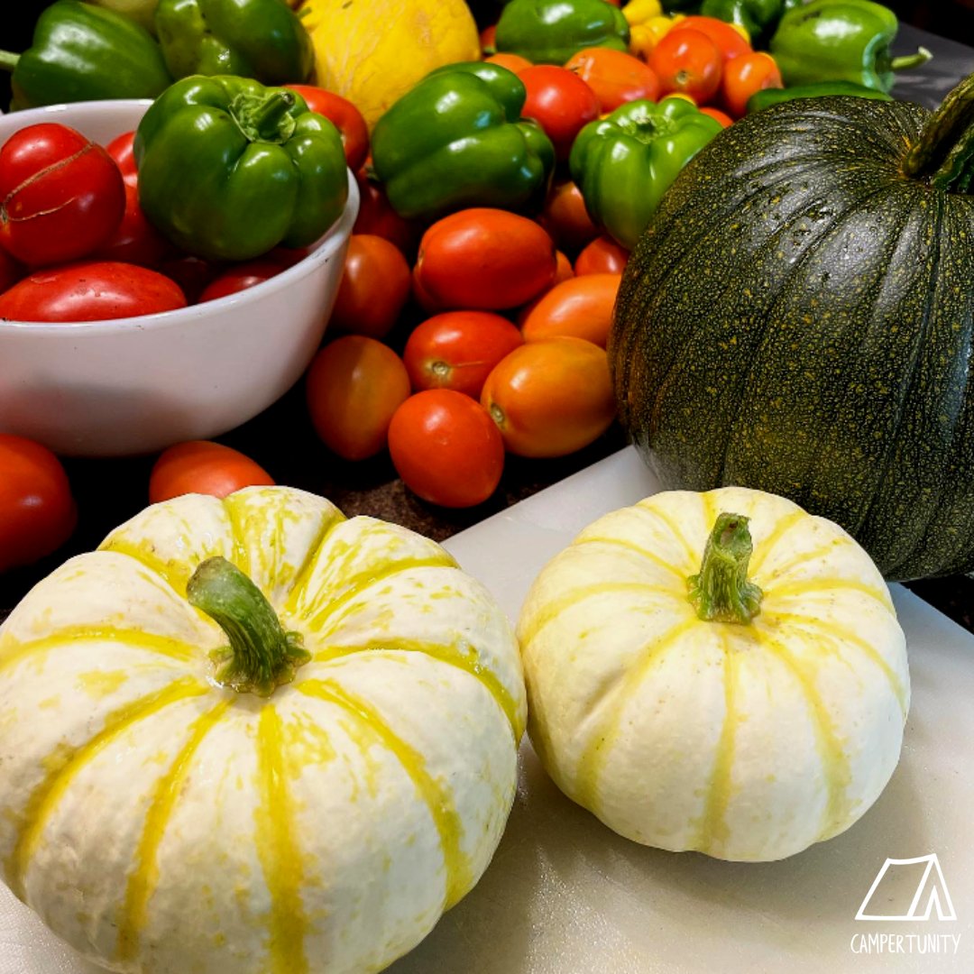 campertunity's tweet image. Oh ya know just another GOURD-geous day today 😎🌞

Sunny fall days are seriously the best! When you can wear just a sweater outside and be perfectly comfy, absolutely LOVE it!!

Have an awesome day everyone 😊🧡⛺️ 

#fall #sunshine #campertunity