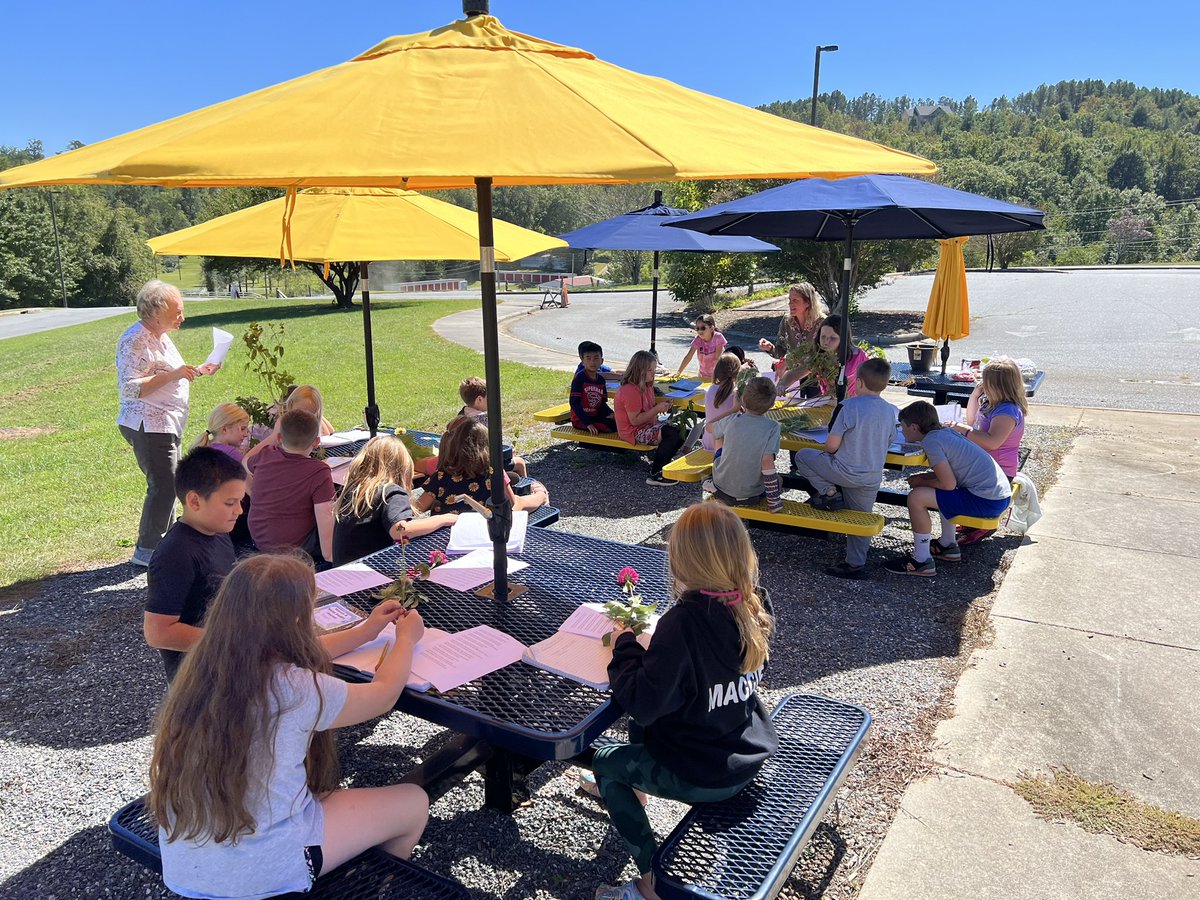 How does your garden grow? Thank you 4H!!!#rooted #WNCstemworks #outdoorfun <a href="/pgelementary/">PG Elementary</a> <a href="/McDowell590/">McDowell Co Schools</a> <a href="/4H/">4-H</a>