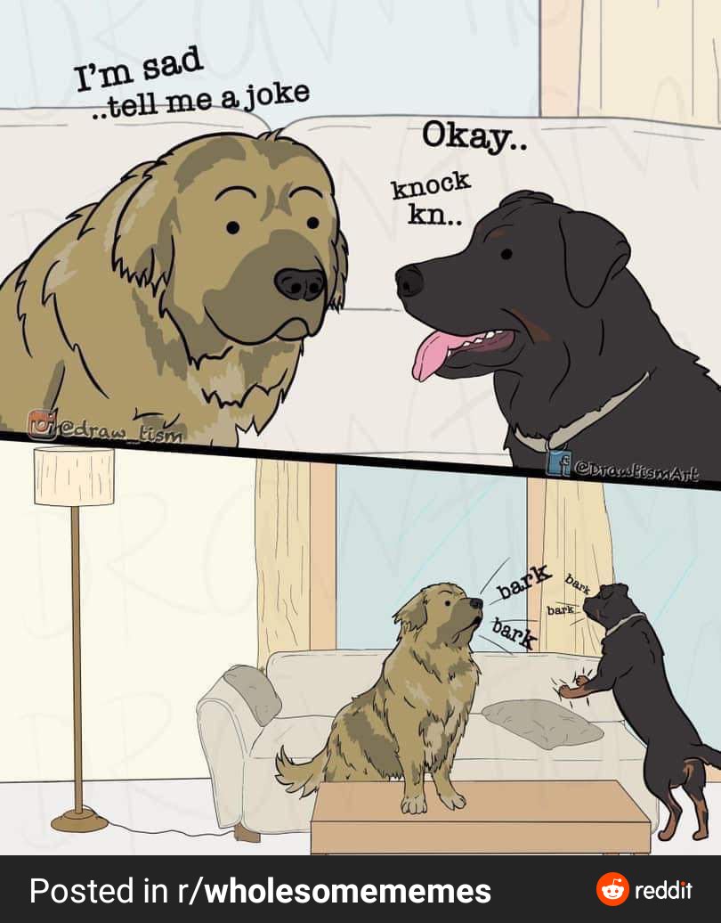 CJDreamFactory's tweet photo. Okay be honest, who else has a dog like this? https://t.co/KdqAKCaDxG