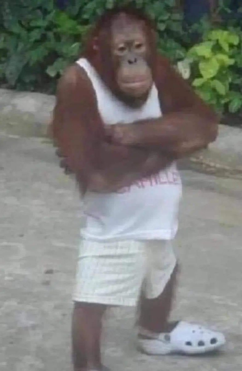 ElJeringasLoko's tweet photo. Yo tratando de vestir "estéril" como dice la chaviza https://t.co/9f4BGjMtxl