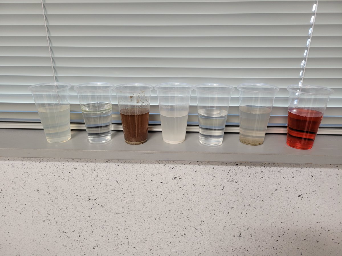 LaLlking's tweet photo. Soluble or Insoluble in Water?  Students investigate if solids and liquids will dissolve in water @DianaCruz278 @FrancisES_AISD @DanaStelly3 @BakerDana2424 #aldineconnected #teach4learning https://t.co/tnx9iWlVoQ