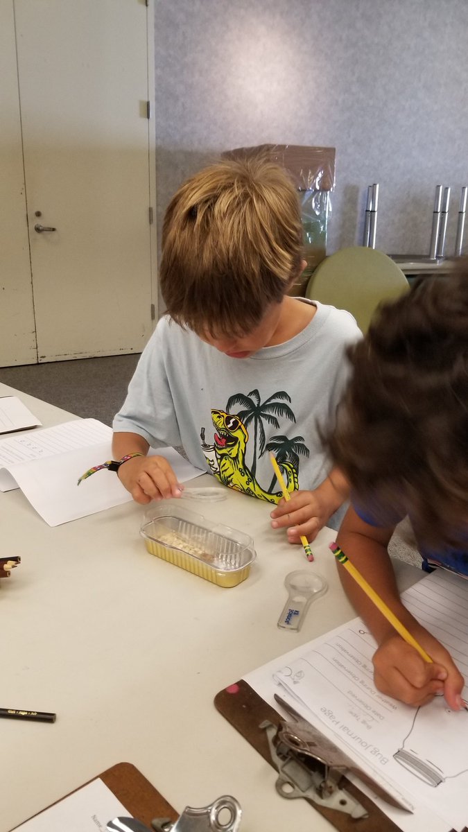 asmith_edu's tweet photo. Continuing our Amplify science learning with our resourceful science specialist Mrs. Minarik, we observed live crickets and conjectured about how their body structures help them to survive. We love science lab time! #dmusd #dmheights https://t.co/kYnjAzMenW