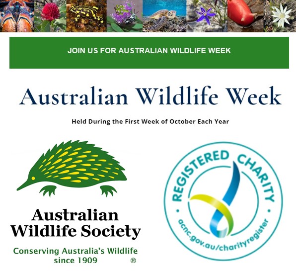 jodirowley's tweet photo. Next Monday 3 October 2022, I'll be giving a talk on Australian #frogs, incl. @FrogIDAus at @AustralianWild2's showcase of wildlife research and conservation projects across Australia. Register now! #AustralianWildlifeWeek

https://t.co/zRsp1C4Exk https://t.co/8oSZuI7lle
