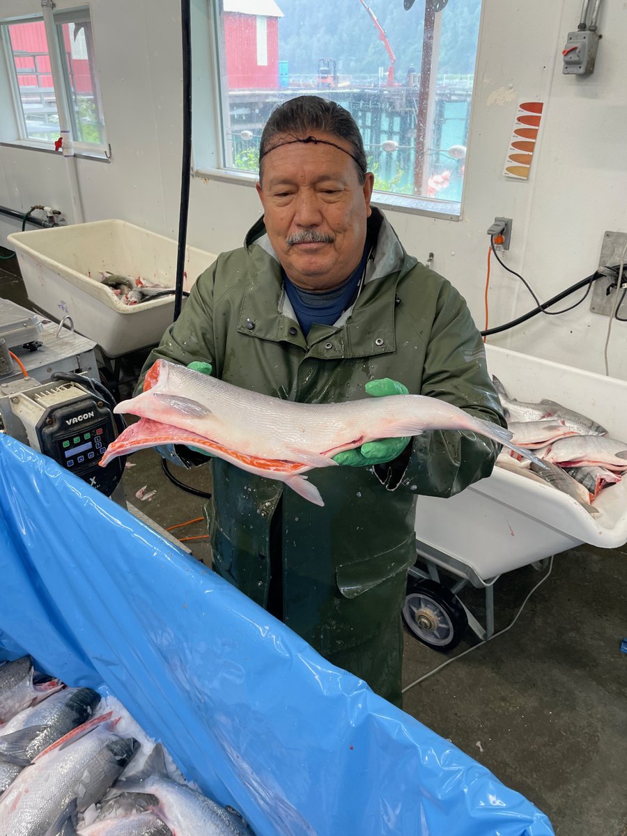 One of the faces behind your seafood this month. Haines Packing Co. - Haines, Alaska.