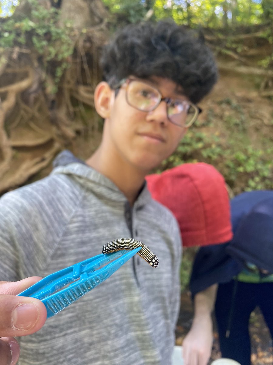 ms_hostetter's tweet photo. Great day out at the Botanical Garden of the Piedmont exploring stream health and educating the public about their upcoming restoration project alongside the @RivConAlliance ! https://t.co/ep5sOsBwQ9