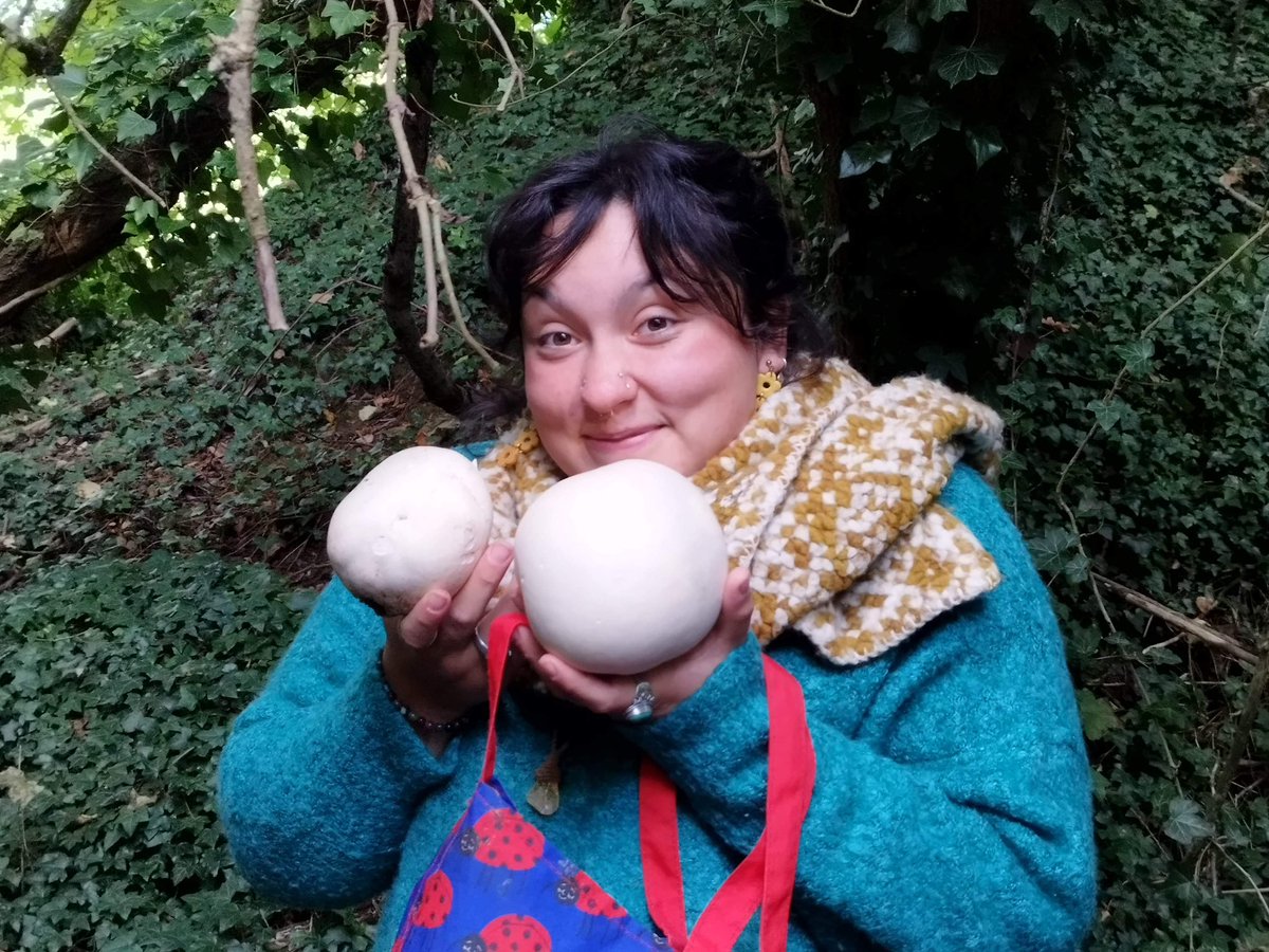Can’t help this Mushroomery 🍄🌱

#mushroom #mycology #foraging