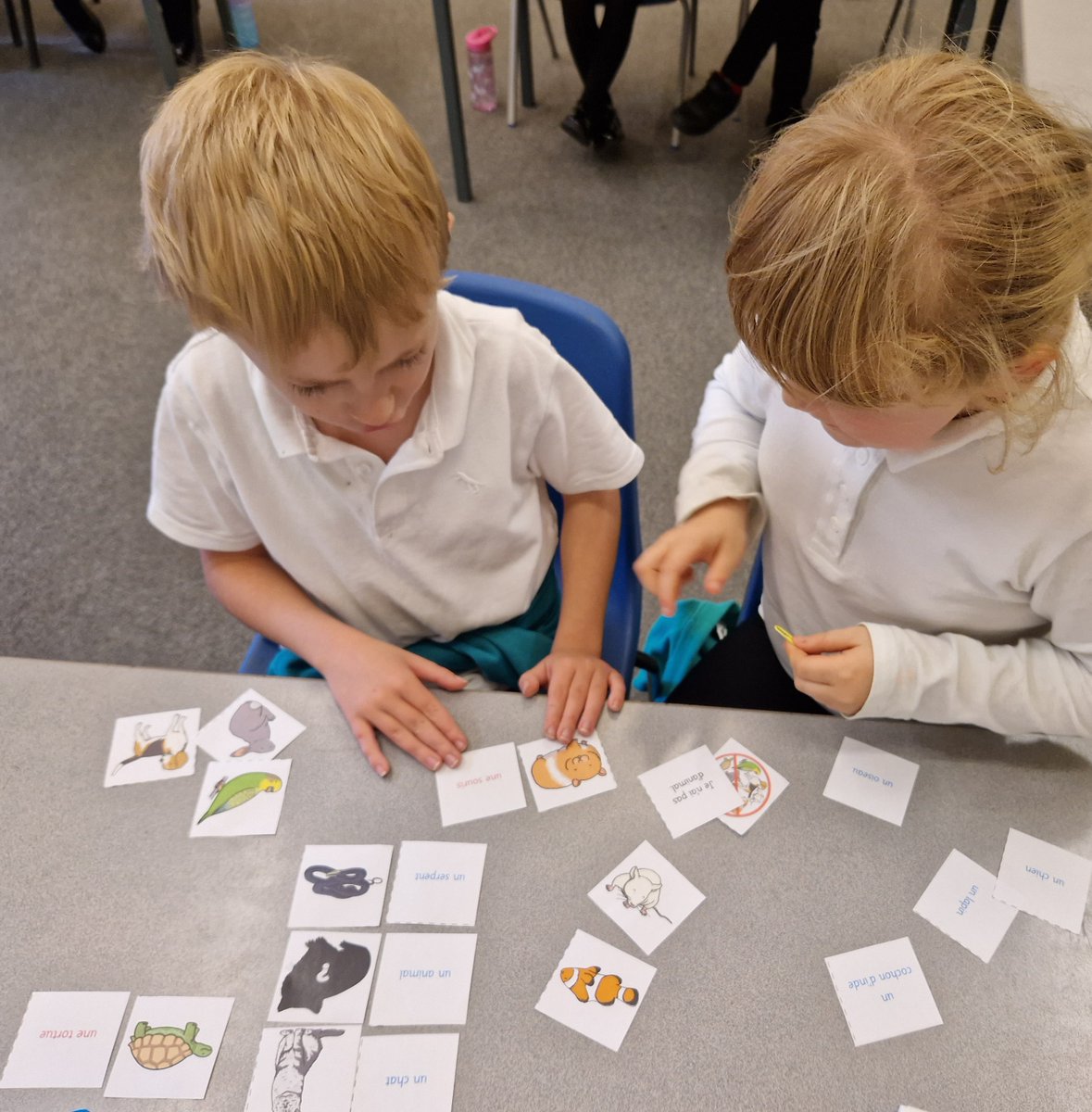 In French, year 3 and 4 have been learning names for common pets. We have been asking answer answering questions too. 
Tu as un animal? 
Oui, J'ai un chat, et toi?
Tres bien Year 3/4!