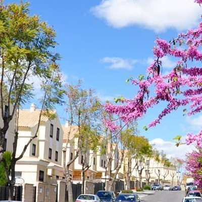 BitubiRE's tweet photo. Desde Bitubi Real Estate ofrecemos una selección de inmuebles para el #arrendamiento y la #compraventa en #mairenadelaljarafe. Descubre la oferta. Más info en https://t.co/pWBNRZYPLM #realestate #mutatismutandis #elhilorojoquenosune https://t.co/nat6zjrlGL
