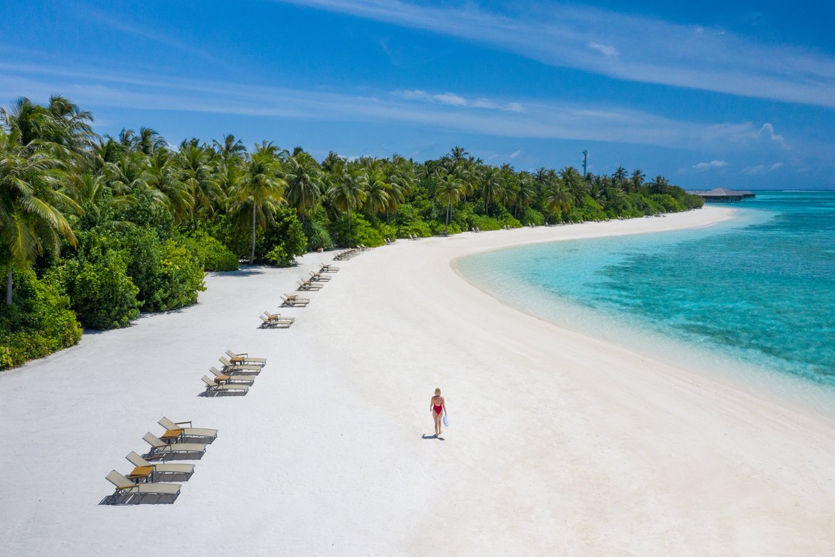 Enjoy a sandy, serene getaway at the Cocoon Maldives🏝

#TropicalHaven #maldives #visitmaldives #sandybeaches #vacation #cocoonmaldives #prismescape