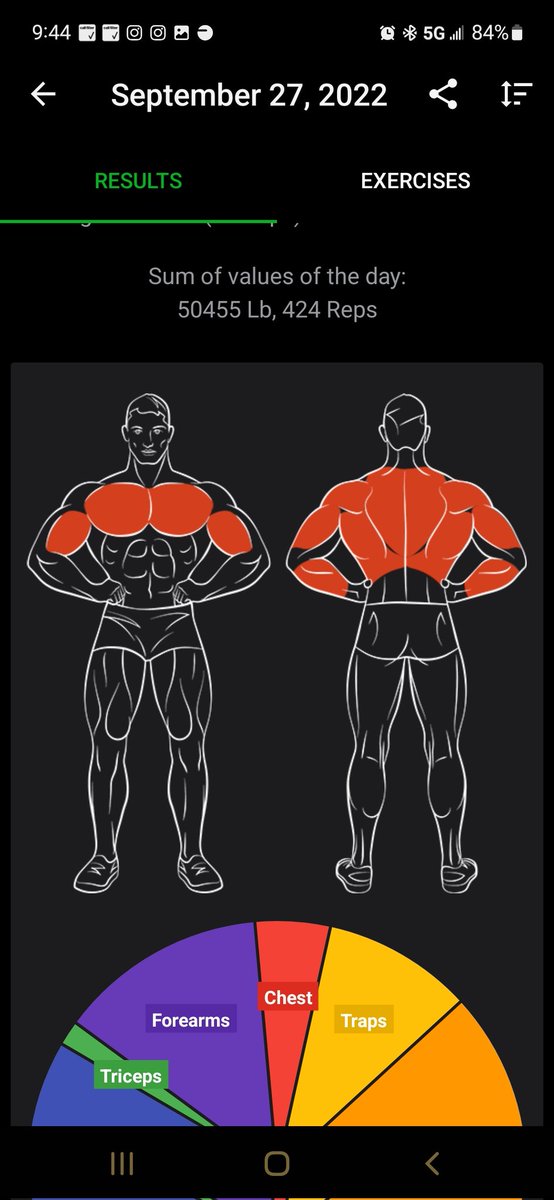 MARVOLtiger's tweet photo. Worked on arms today at the gym. Mainly upper body pulling exercise 
#strongcat #fitness #workout #workoutcat #Buckedup https://t.co/k1Mxs1utT7