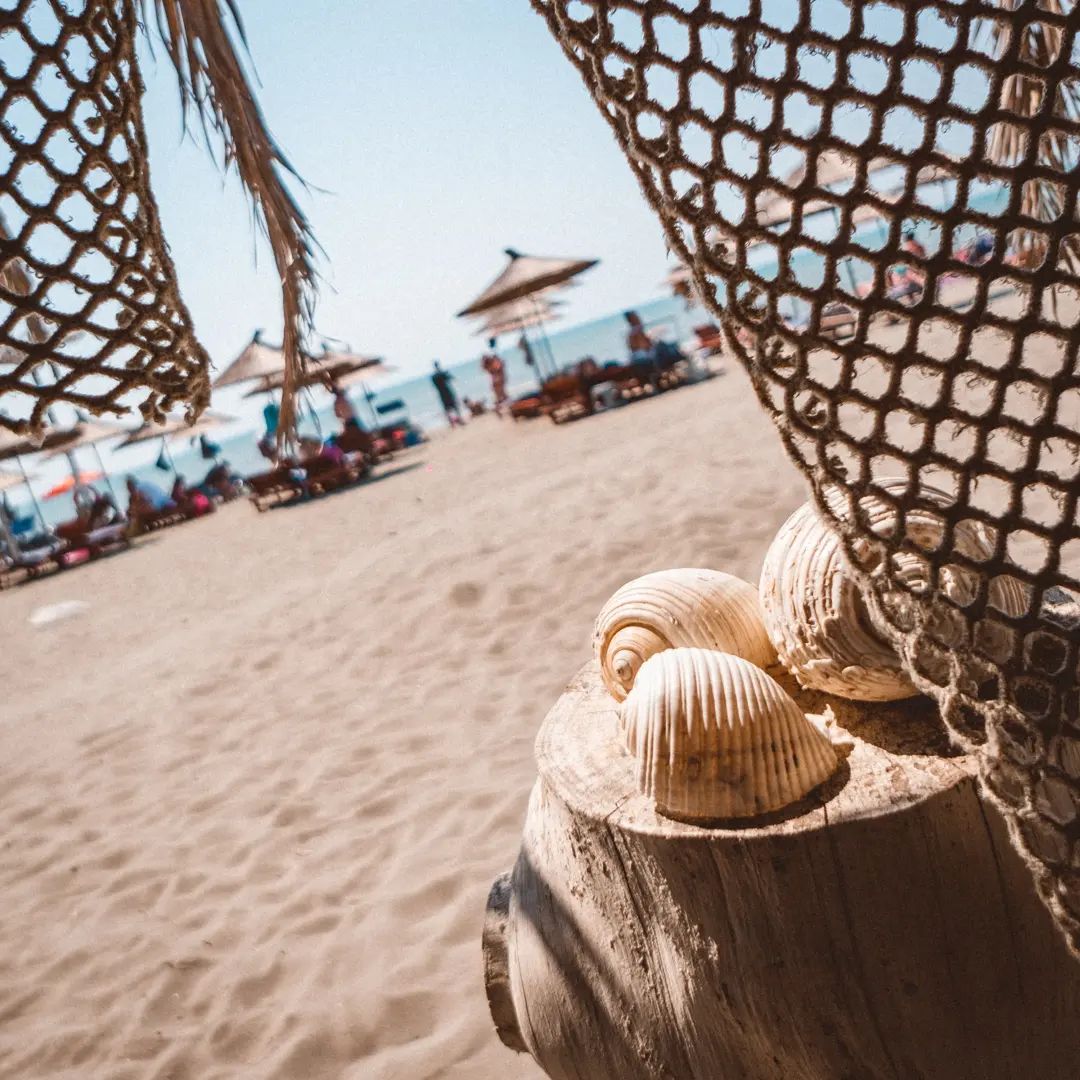 vanlifia's tweet image. And so we roll up to the blue, foamy carpet that reaches out into infinity. ⁠And boy, were we in for a treat!
⁠
#minimalist #campervan #diyconversion #diybuild #budgetvanlife #van #diy #albaniaexplore #albaniaadventure #albaniaholidays #shengjin #shengjinbeach #albanie