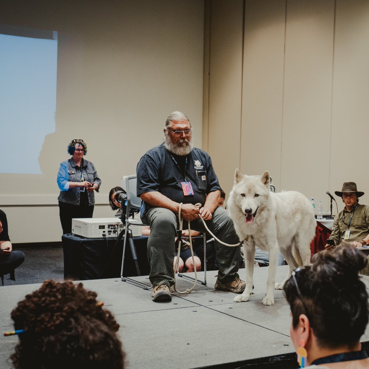 LightBox Expo tweet media