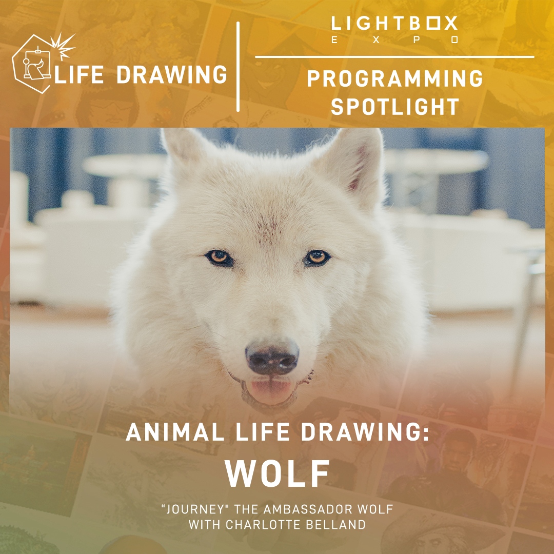 LightBox Expo tweet media