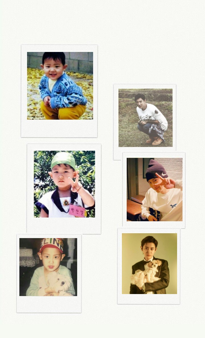 FORUCHANYEOL's tweet photo. my baby ♡
#WelcomebackCHANYEOL https://t.co/BE3xzLAxoL