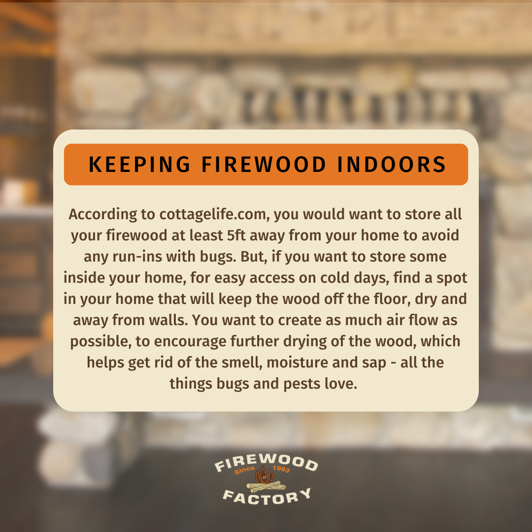 GetFirewood's tweet photo. Is it safe to keep #Firewood indoors? 🏠🪵

#FirewoodFactory #WoodStorage https://t.co/jGEaCUEwuG