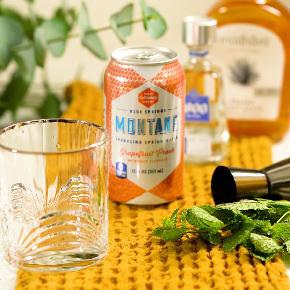 SCSCinema's tweet photo. We lucked out with the south’s best sparkling spring water! If you’re looking to elevate your cocktails there’s nothing more crisp and clean 🍇🍑🥒 https://t.co/prsR1XGU9J