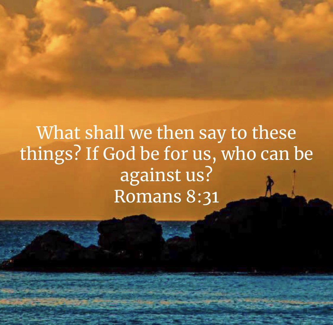 H 🇺🇸 1776 We The People tweet media