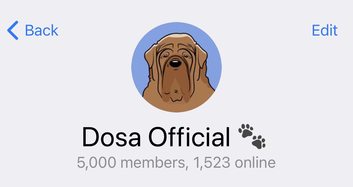 cometcalls's tweet photo. 5000 members in #Dosa telegram ahead of the presale 🐾 

https://t.co/QRDkSPDAMk https://t.co/lkBpXthN4x