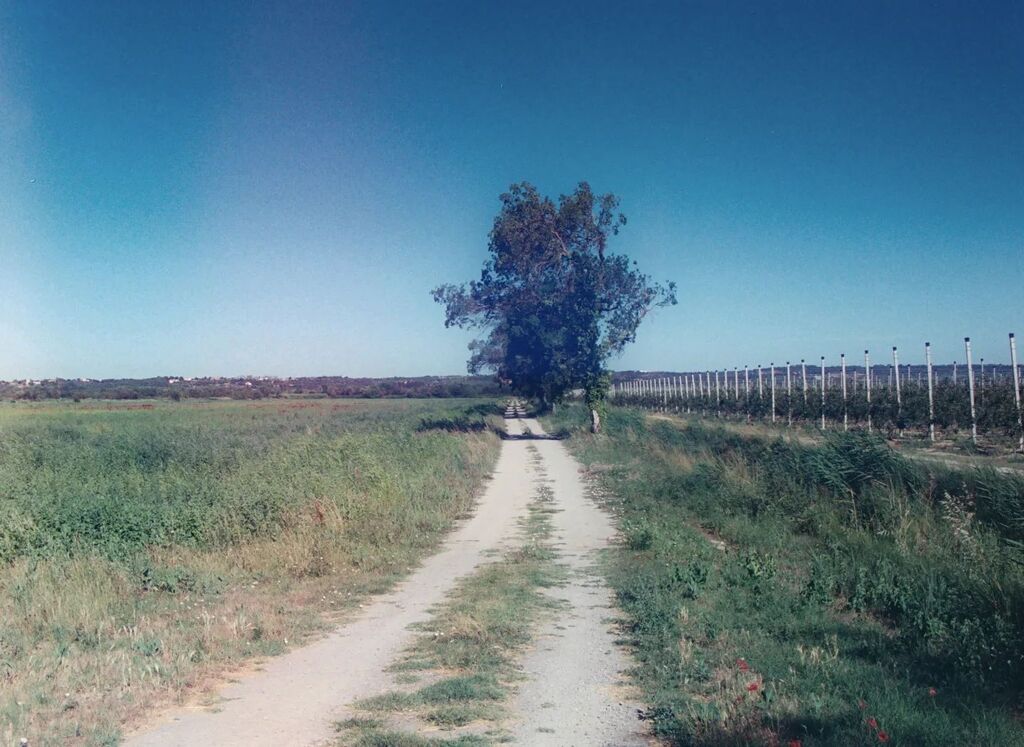 justinevirideau's tweet photo. Juillet 2022 📷 Minolta X-300 🎞️ Fujicolor #argentique #voyageavelo
.
#filmphotography #35mm #analogphotography #minolta #minoltax300 #fujicolor #fujifilm #cyclotourisme #biketouring #bikepacking #bivouac #outdoor #cyclocamping #suddelafrance #southo… https://t.co/ohQCLE2XFP https://t.co/fI4EycbBXP