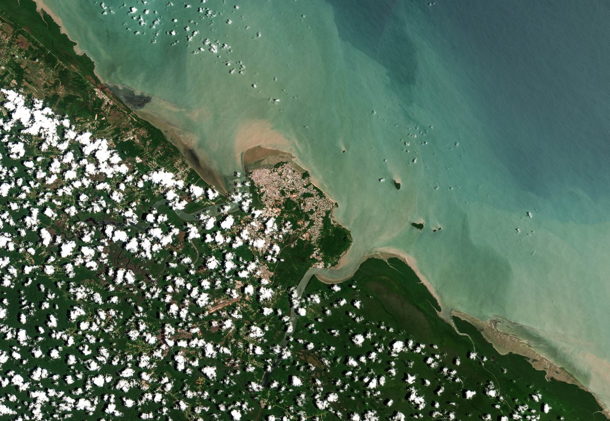 97px | IMAGE OUTREMER tweet media