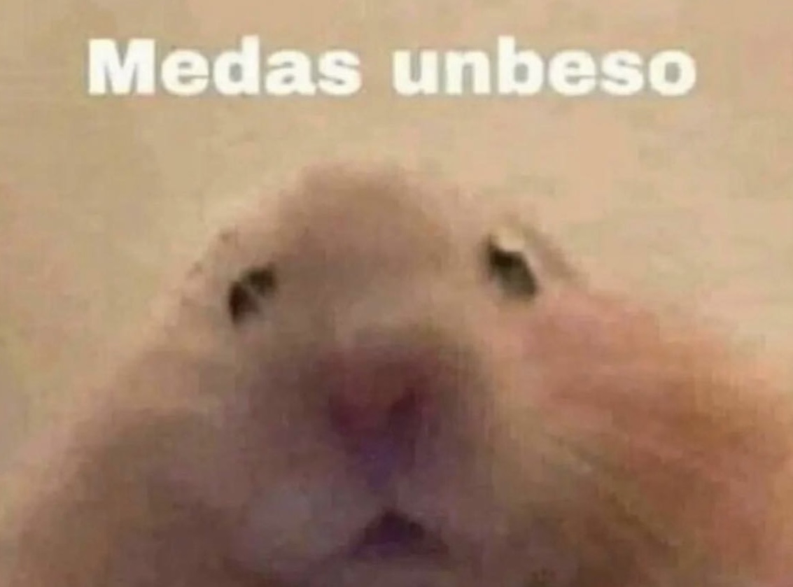 El Guarromántico tweet media